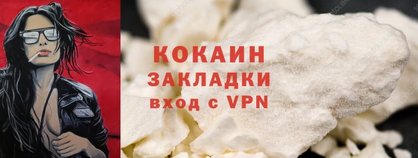 не бодяженный Заводоуковск