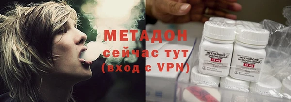 прущие грибы Заволжье