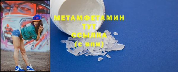 прущие грибы Заволжье