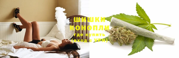 не бодяженный Заводоуковск