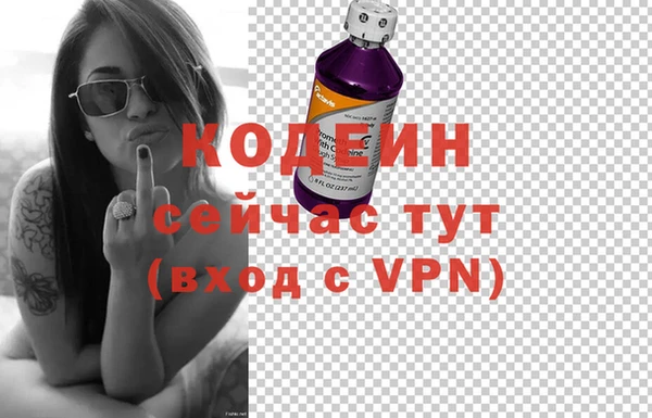 не бодяженный Заводоуковск