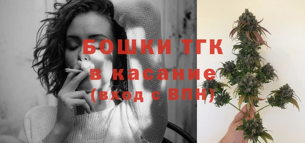 прущие грибы Заволжье