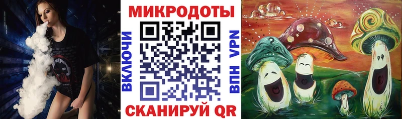 Купить закладки  Славянск-на-Кубани  Галлюциногенные грибы Psilocybe 